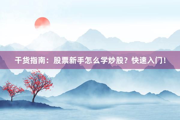干货指南：股票新手怎么学炒股？快速入门！