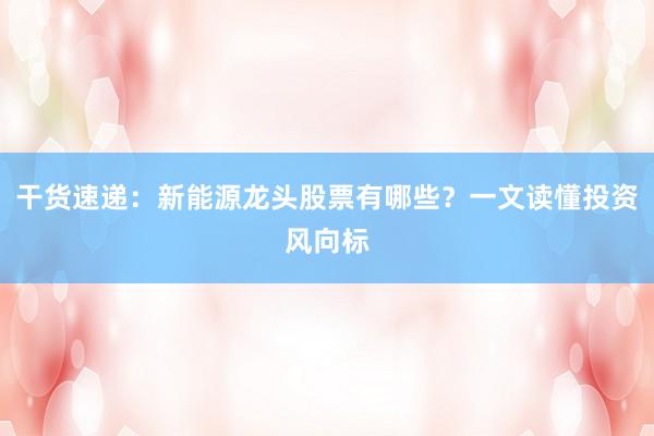 干货速递：新能源龙头股票有哪些？一文读懂投资风向标