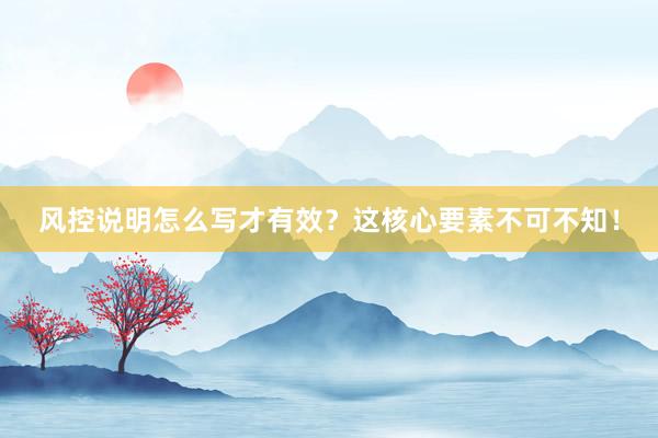 风控说明怎么写才有效？这核心要素不可不知！