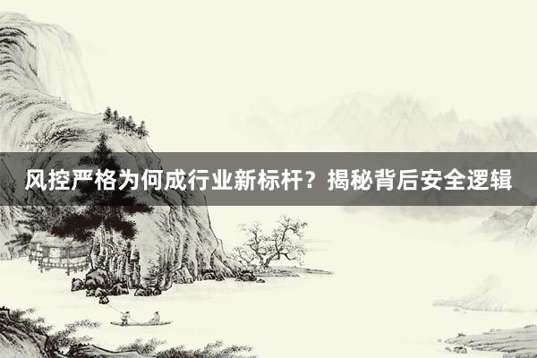 风控严格为何成行业新标杆？揭秘背后安全逻辑