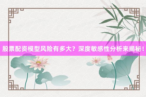 股票配资模型风险有多大？深度敏感性分析来揭秘！