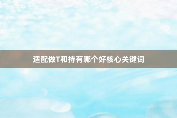 适配做T和持有哪个好核心关键词