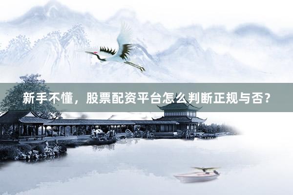新手不懂，股票配资平台怎么判断正规与否？