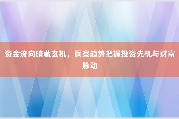 资金流向暗藏玄机，洞察趋势把握投资先机与财富脉动
