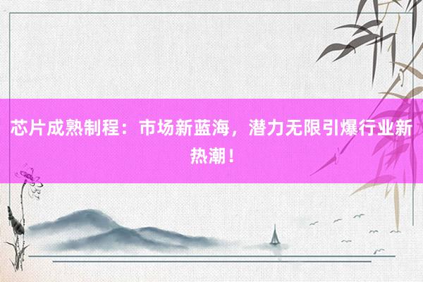 芯片成熟制程：市场新蓝海，潜力无限引爆行业新热潮！