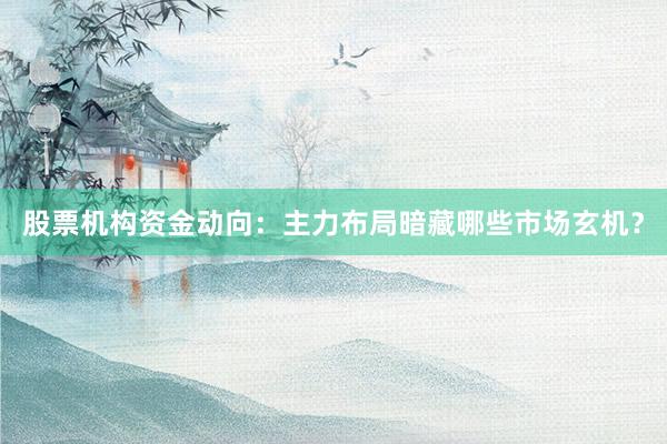 股票机构资金动向：主力布局暗藏哪些市场玄机？