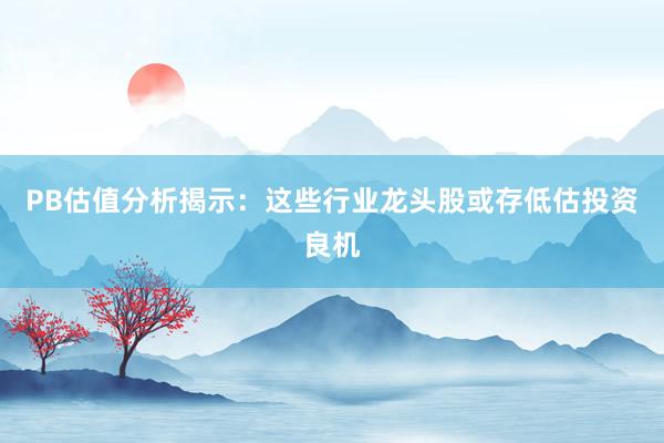 PB估值分析揭示:这些行业龙头股或存低估投资良机
