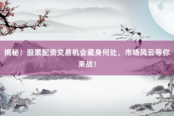 揭秘！股票配资交易机会藏身何处，市场风云等你来战！
