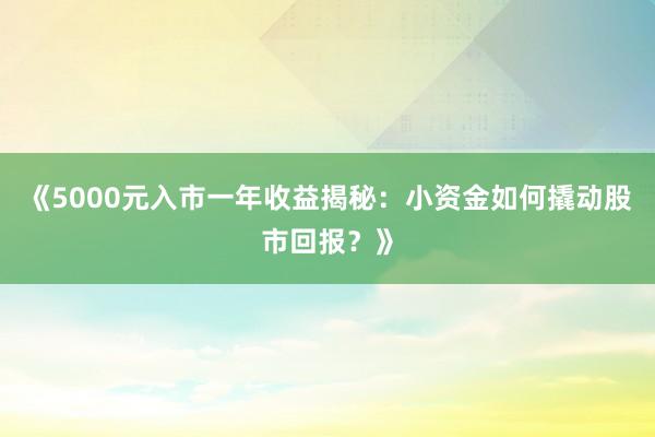 《5000元入市一年收益揭秘：小资金如何撬动股市回报？》