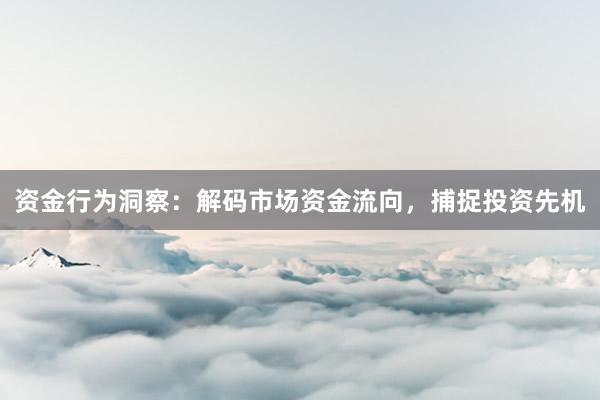 资金行为洞察：解码市场资金流向，捕捉投资先机