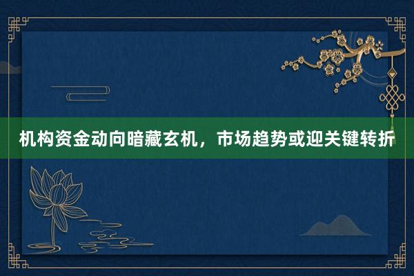 机构资金动向暗藏玄机，市场趋势或迎关键转折