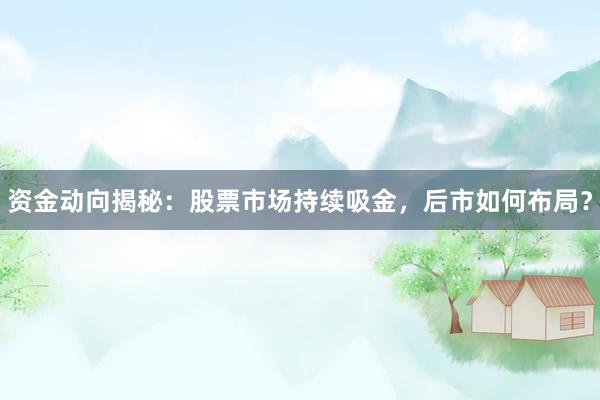 资金动向揭秘：股票市场持续吸金，后市如何布局？
