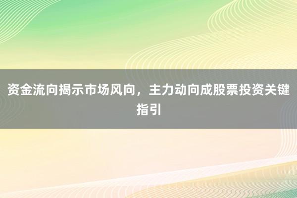 资金流向揭示市场风向，主力动向成股票投资关键指引