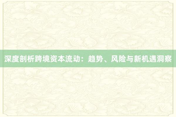深度剖析跨境资本流动：趋势、风险与新机遇洞察