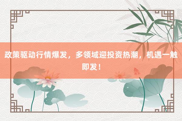 政策驱动行情爆发，多领域迎投资热潮，机遇一触即发！