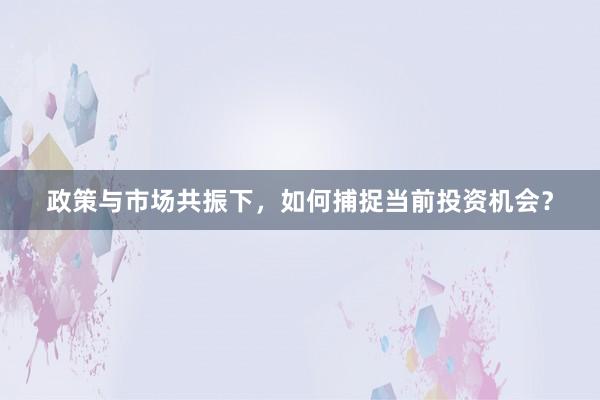 政策与市场共振下，如何捕捉当前投资机会？