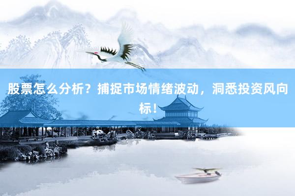 股票怎么分析？捕捉市场情绪波动，洞悉投资风向标！