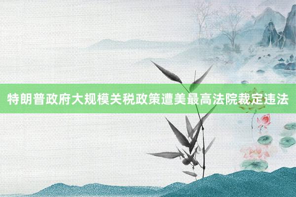 特朗普政府大规模关税政策遭美最高法院裁定违法
