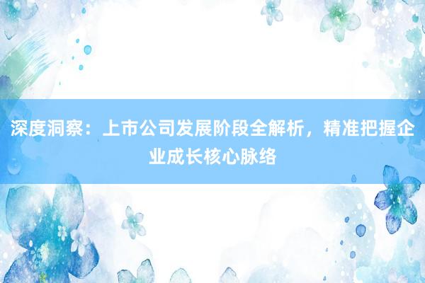 深度洞察：上市公司发展阶段全解析，精准把握企业成长核心脉络